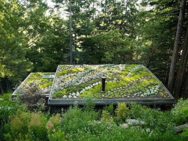 rooftop garden design