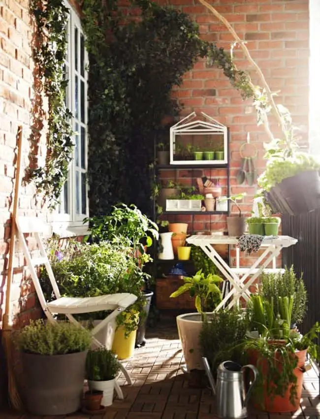 Balcony Garden Ideas