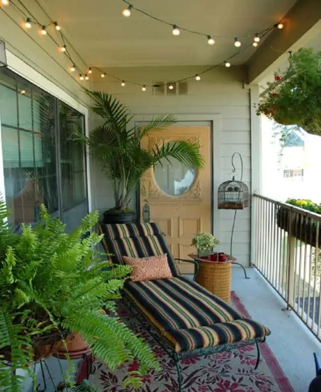 Balcony Garden Plants