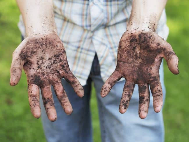 Baking Soda in the Garden