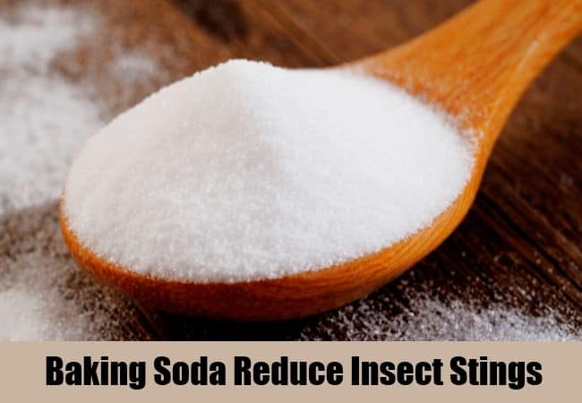 Baking Soda for Garden Pests