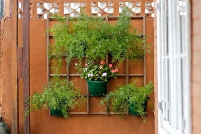 DIY Wall Planters