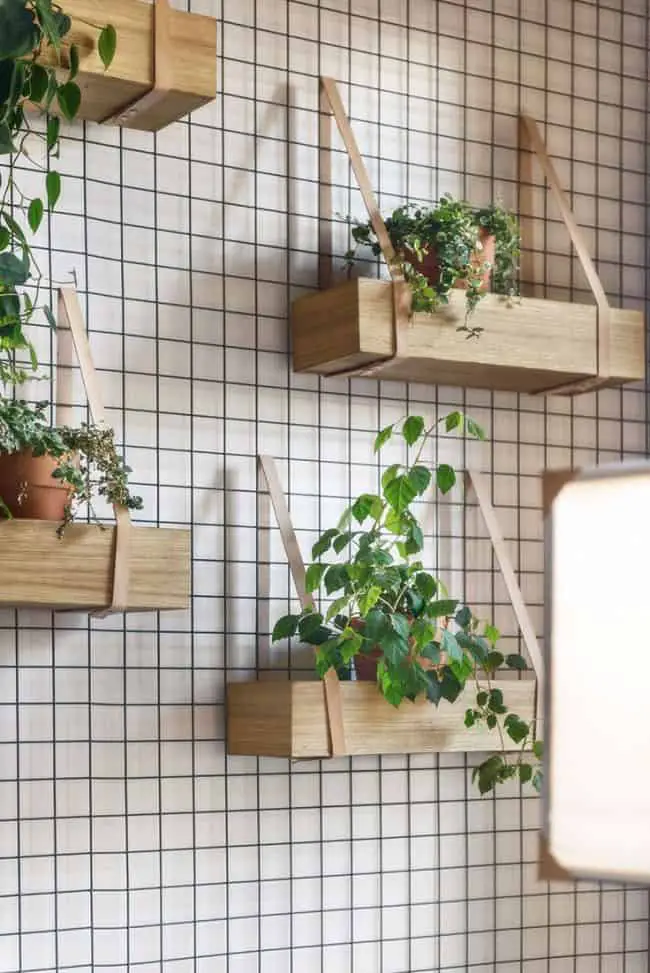  Wall Planters Outdoor