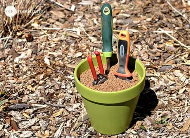 Container Gardening Hacks