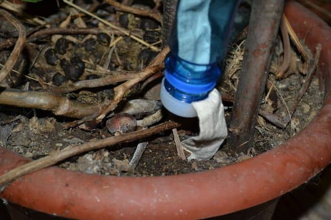  DIY Automatic Watering System