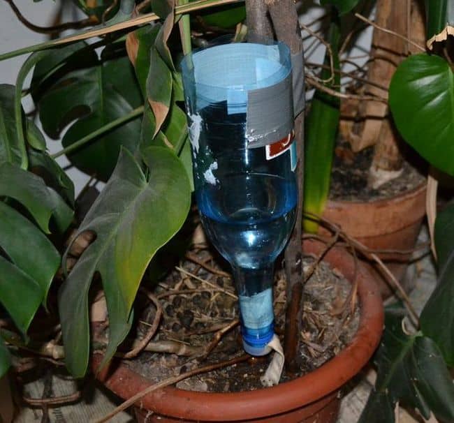 DIY Drip Irrigation System