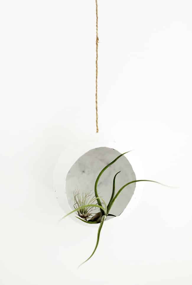 DIY Paper Mache Air Plant Holder