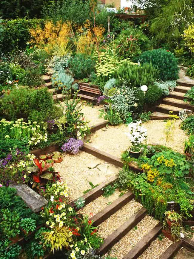 backyard landscape designs