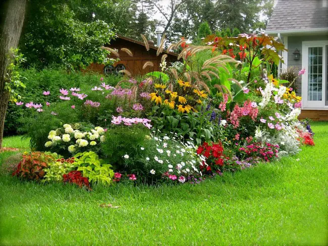 backyard landscape designs