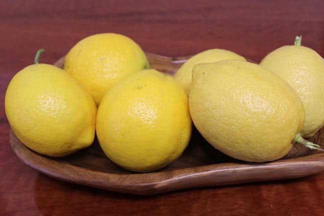 grow lemon tree from seed