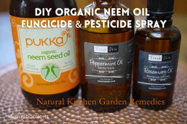 How to apply neem oil to plants