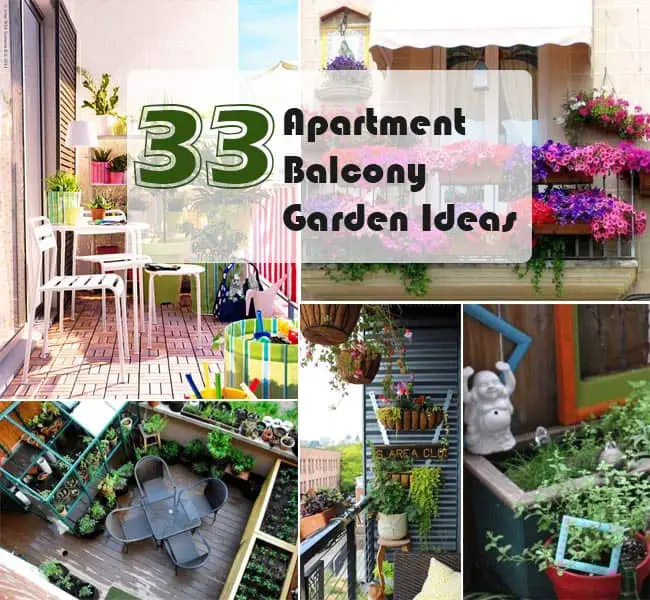 Apartment Balcony Garden Ideas