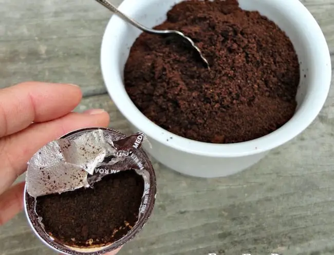 coffee grounds in the garden