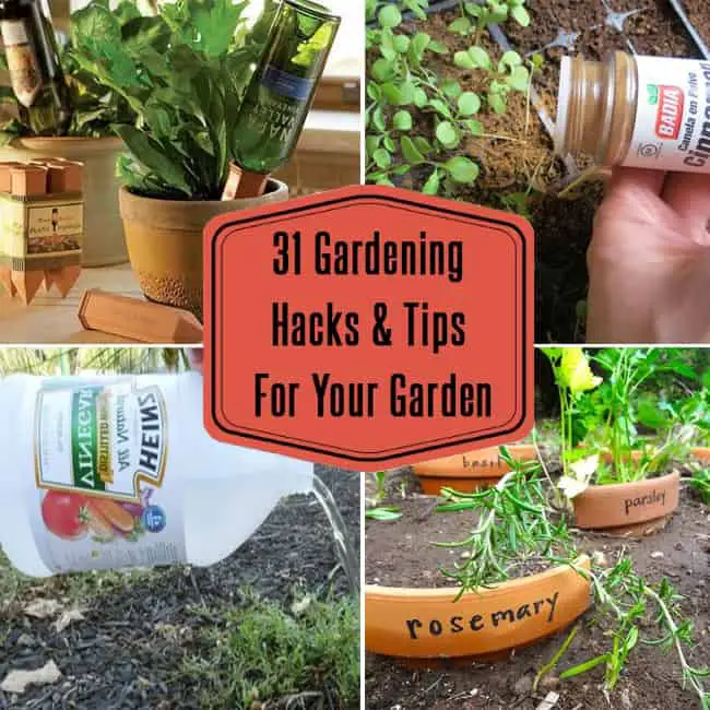 Gardening Hacks