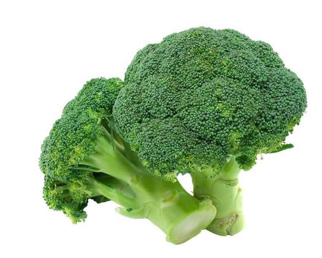 Grow broccoli from seed 