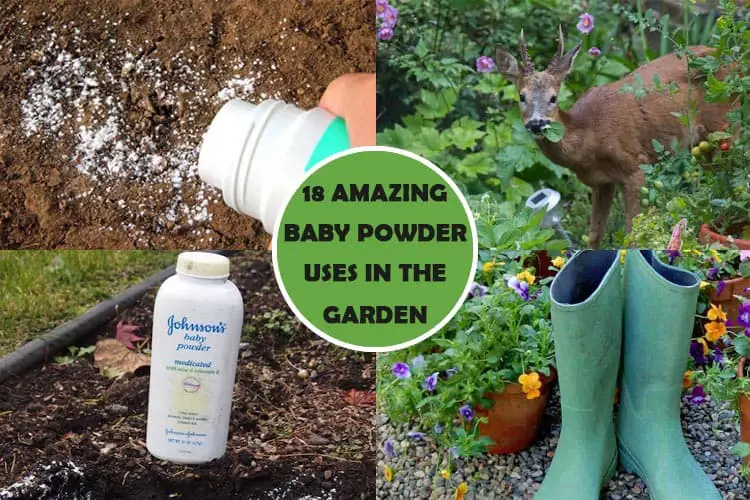 Baby Powder Uses