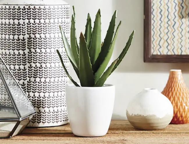 Coffee table with planter