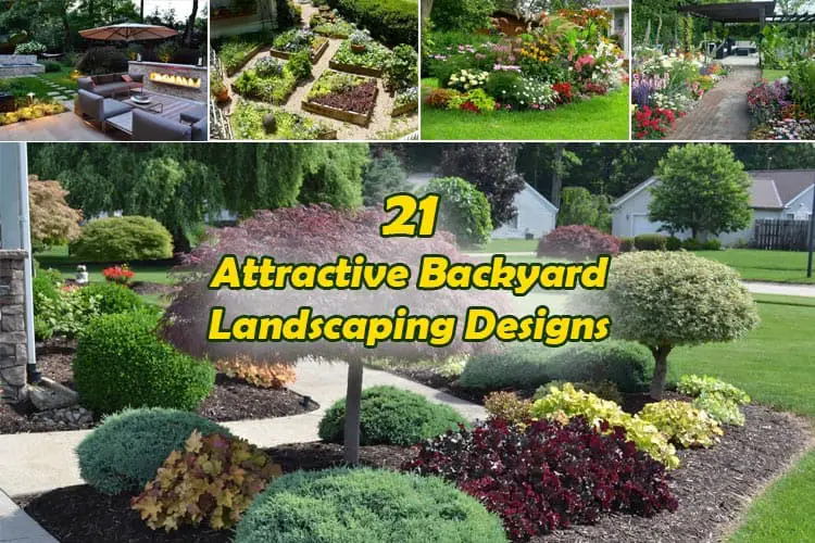 Backyard Landscaping Designs