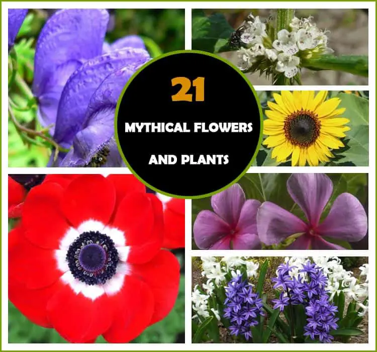 Mythical Flowers