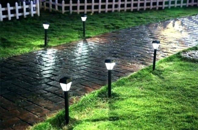 Solar Lights for Garden