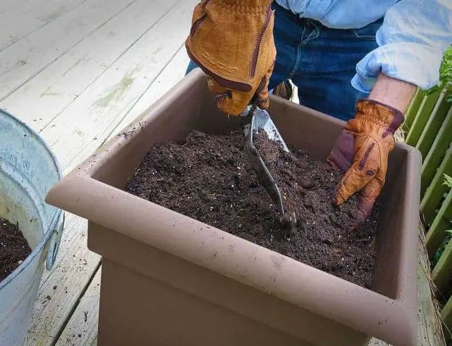 Container Gardening for Beginners