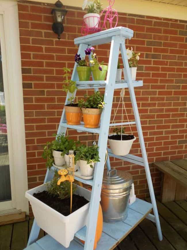 Container Gardening for Beginners