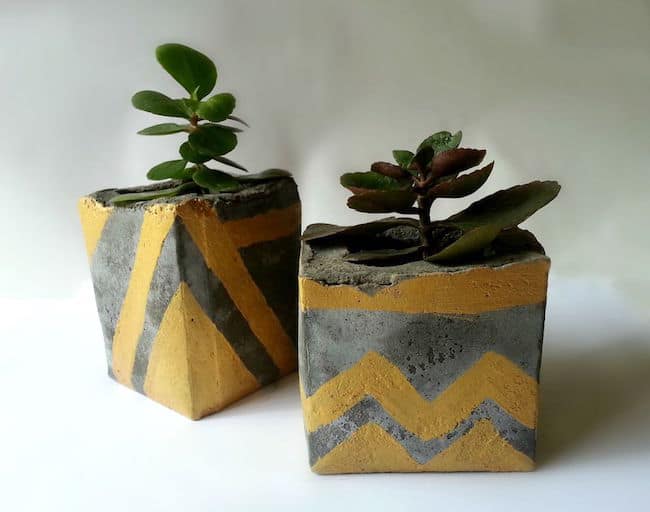 DIY Concrete Planters