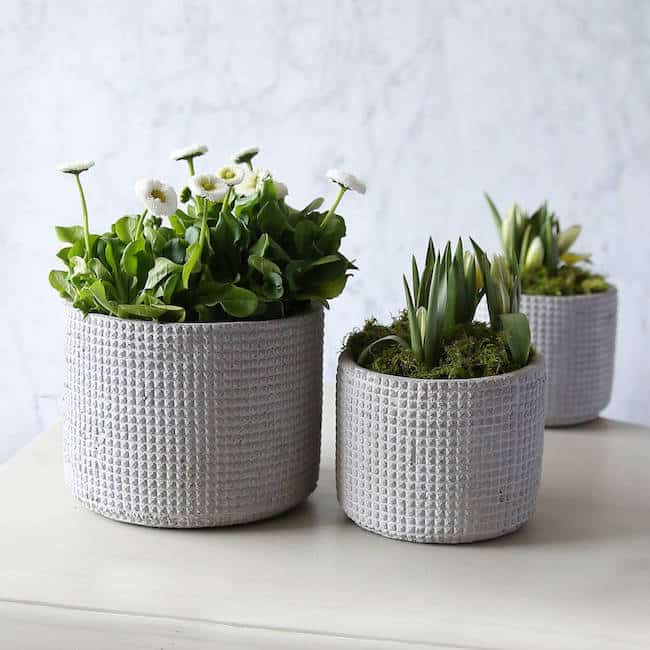 Concrete Flower Pots