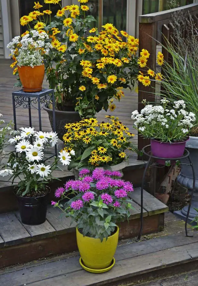 Tips for Container Gardening