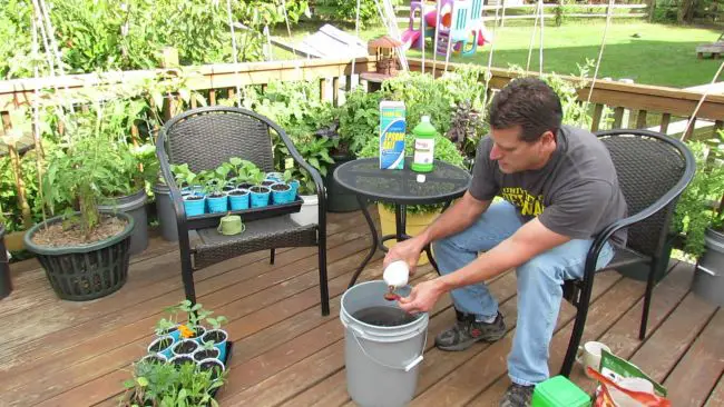 Container Gardening Ideas