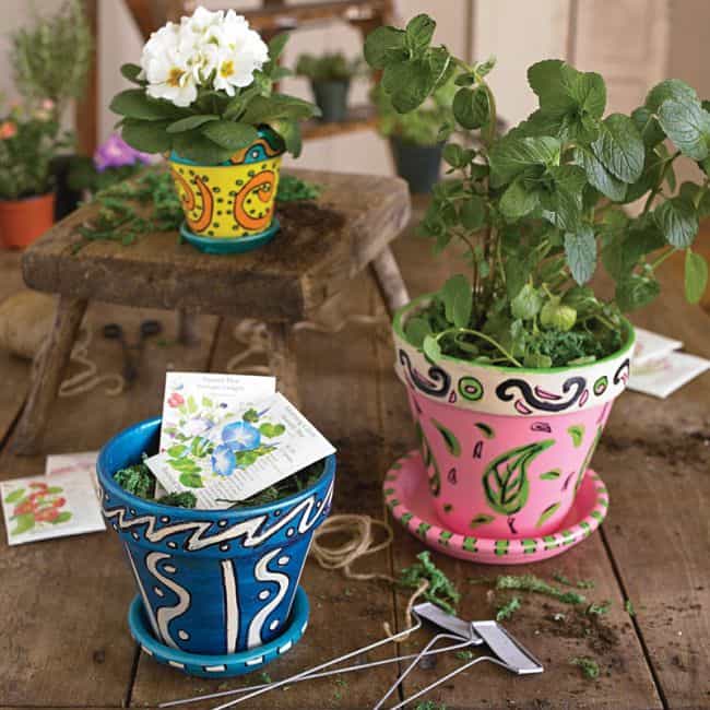 Container Gardening Ideas