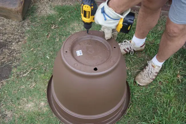 Container Gardening Tips