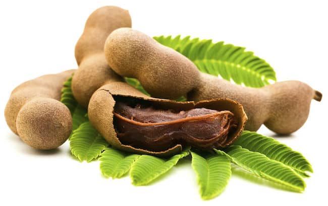 Tamarind Plant