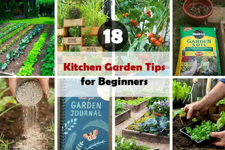 Kitchen Garden Tips