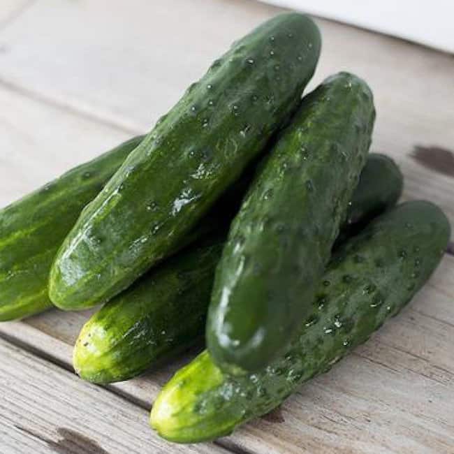Slicemore Best Cucumber Varieties