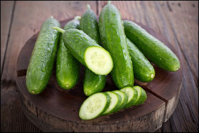 Sweet Success Best Cucumber Varieties