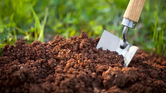 Environmental Benefits of Gardening