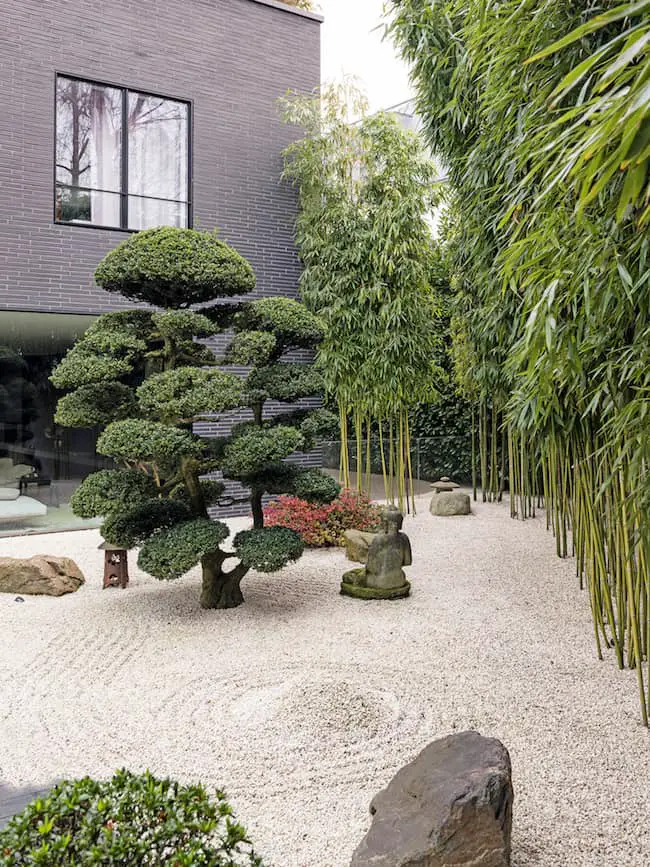Japanese Garden Ideas