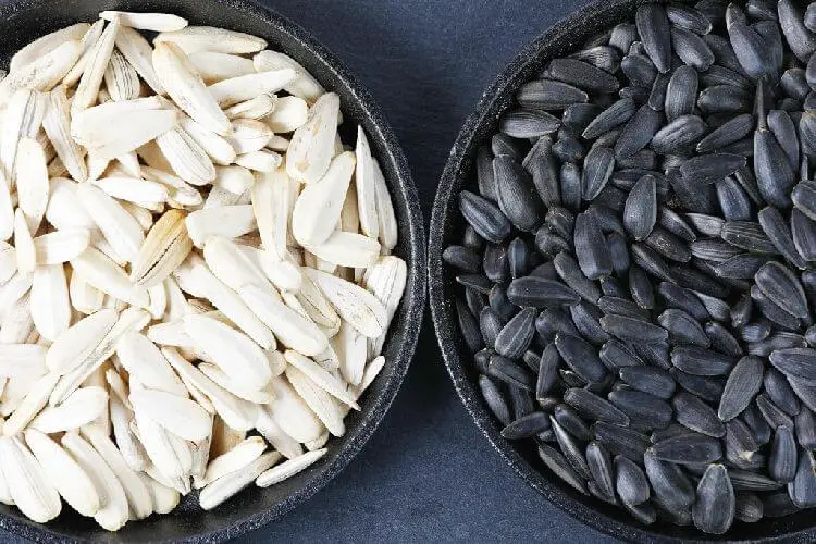 White vs Black Sunflower Seeds