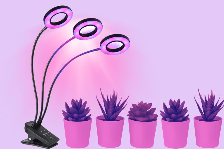 LED Grow Lamps