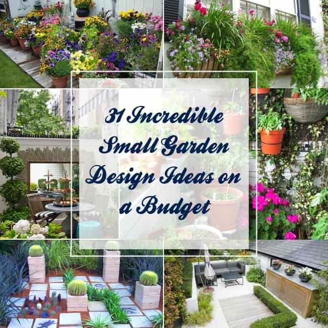 31 Incredible Small Garden Design Ideas on a Budget | Gardenoid
