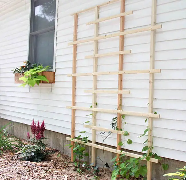 21 Innovative And Easy Diy Garden Trellis Ideas Gardenoid