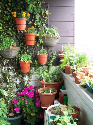 31 Fantastic Small Balcony Wall Planter Ideas | Gardenoid